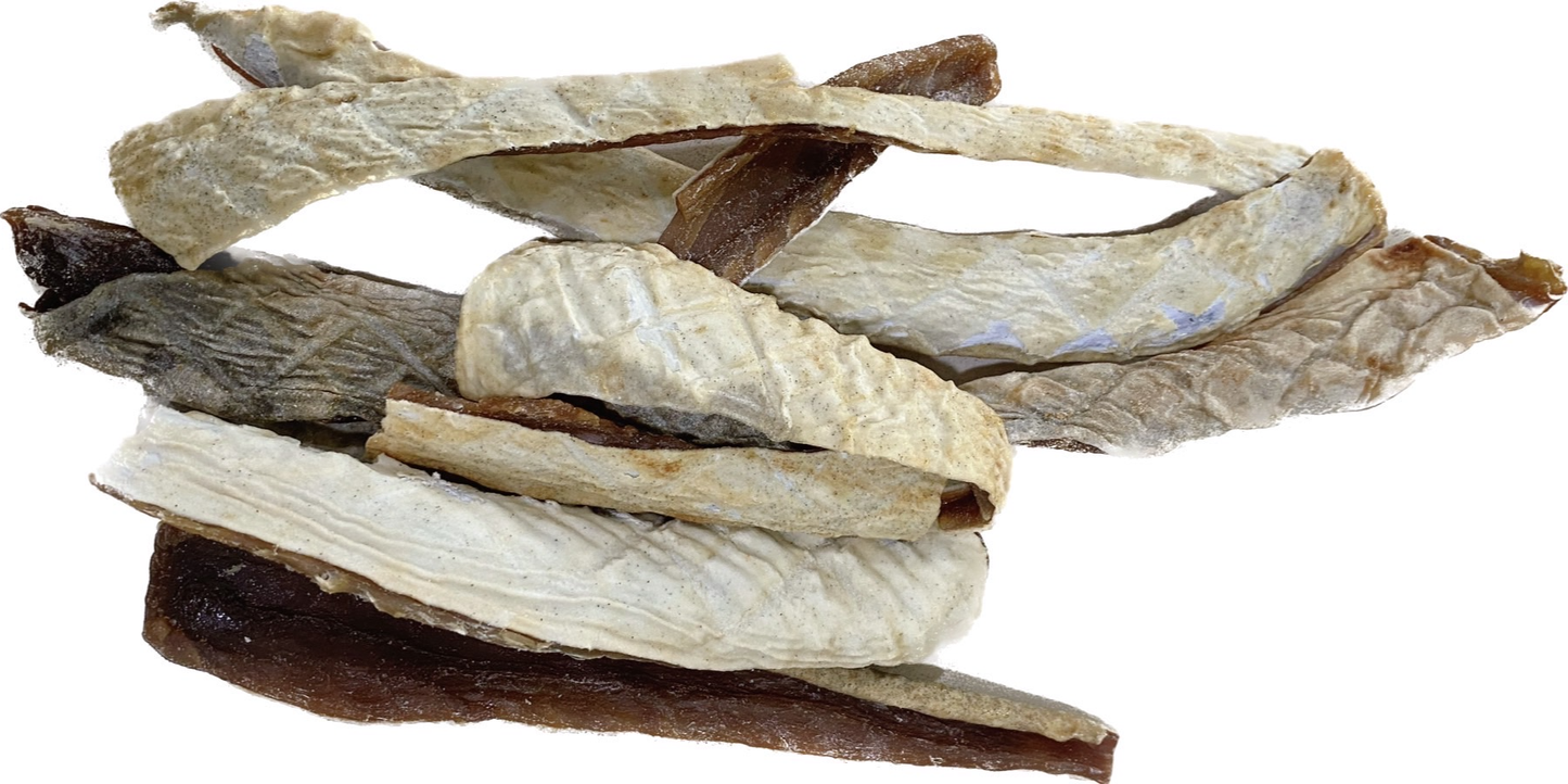 Shark Skin Strips