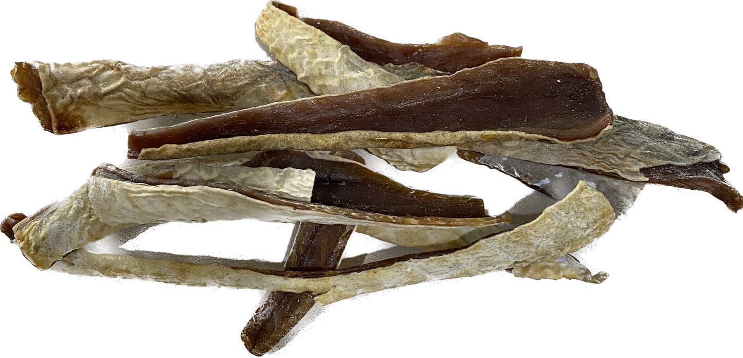 Shark Skin Strips