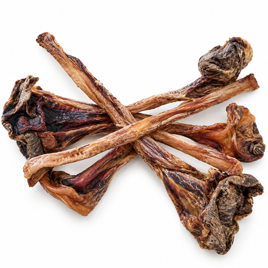 Kangaroo Leg Tendons