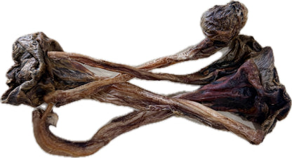 Kangaroo Leg Tendons