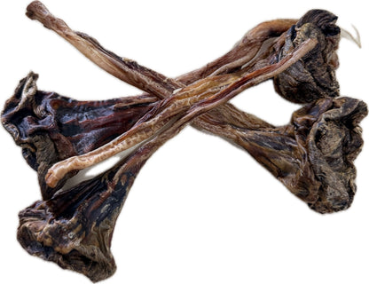 Kangaroo Leg Tendons