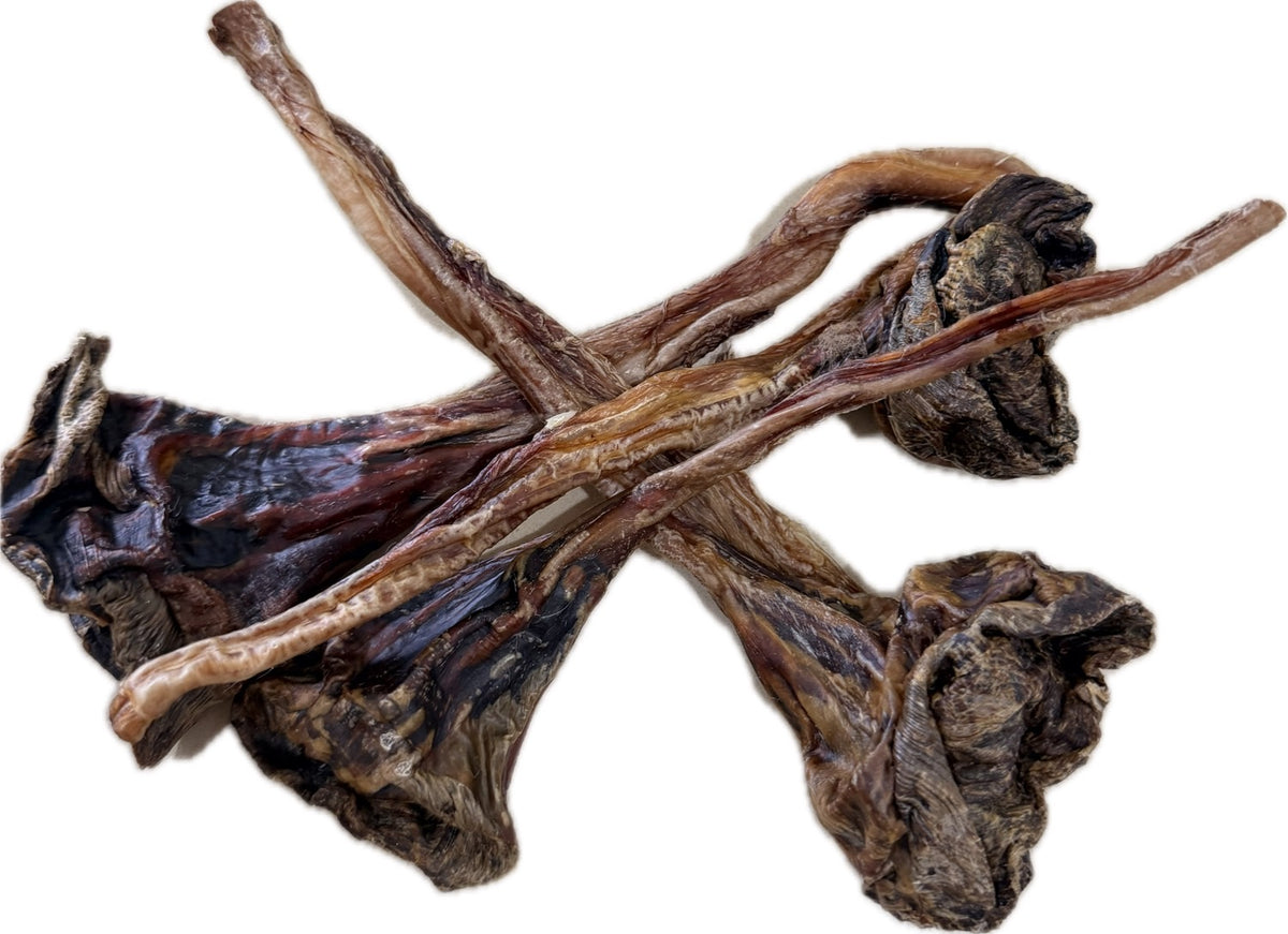 Kangaroo Leg Tendons